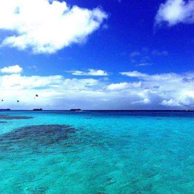 海绵宝宝拼图游戏最新版下载