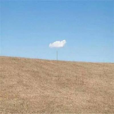 荒野行动欧版下载
